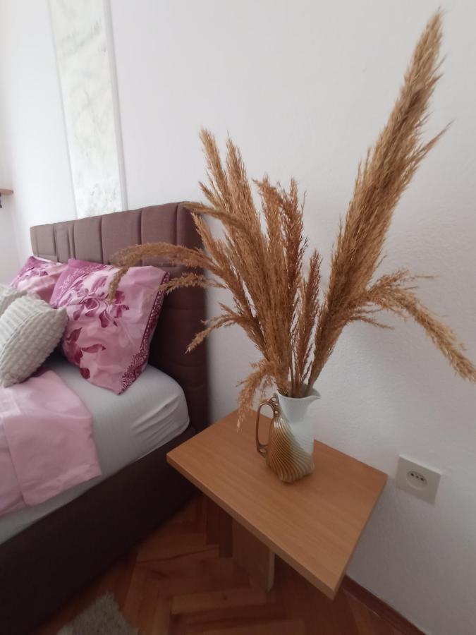 Apartman Maja Τρέμπινιε Εξωτερικό φωτογραφία